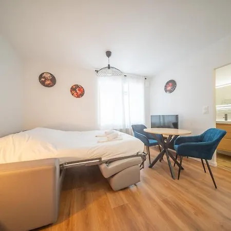 Appartement Frontiere Suites 6 Saint-Louis Proche Bale *